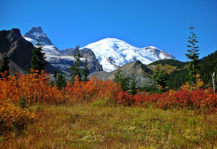 Mt. Rainier in autumn